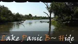 Lake Panic Bird Hide Video, Near Skukuza | Kruger National Park Bird Hides | Stories Of The Kruger
