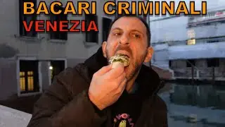 Bacari criminali VENEZIA