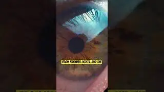Is Blue Light Harmful for Eyes? #drayan explains #bluelightprotection