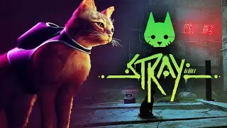 Stray /Я кот