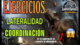 EJERCICIOS DE LATERALIDAD, COORDINACI&Oacute;N y REACCI&Oacute;N DIVERTIDOS PARA EDUCACI&Oacute;N F&Iacute;SICA