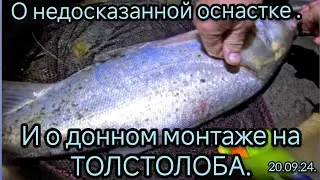 О недосказанной оснастке.  И донном монтаже на толстолоба. 20.09.24