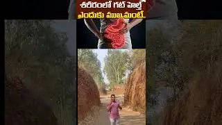 our psychological problems connected with our gut health#ytshorts #shortsvideo #shiva sabawath