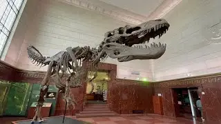 Texas Science & Natural History Museum in Austin Texas (2023) (New)