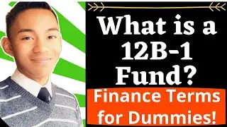 What is a 12B-1 Fund? - Financial Terminology for Dummies!