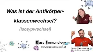 Was ist der Antik&ouml;rper Klassenwechsel (Isotypenwechsel)?