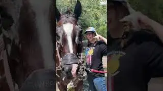 Losing my peace of my fr #mentallydrained #horse