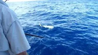 Top fishing catch off Mooloolaba