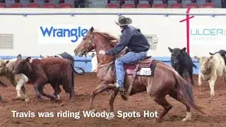 2017 AQHA Open Team Penning and Ranch Sorting