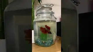 one thing I HATE about this hobby