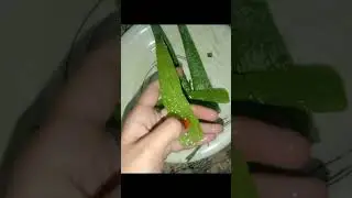 5 mint m hath goray desi totka 👌👍🏻🌸❤️#followforfollowback #likeandsubscribe