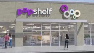 🚨 BREAKING🚨 DOLLAR GENERAL NEWS/ New Pop Shelf- upscale DG Store