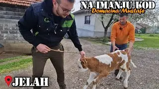 KUPILI SMO JOŠ JEDNO TELE KOD DOMAĆINA MUSTAFE!!