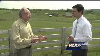 Kentucky Ag. Department acquires license to possess hemp seeds
