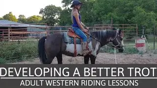 Trotting Lesson - development of a better seat and soft hands - Adult Beginner Riding Lessons