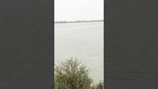 flood update#villagelife #fypシ゚viral #nature #river #indus#flood#viralshorts#floodalert#village#fyp