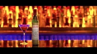 Luxardo | Our Story