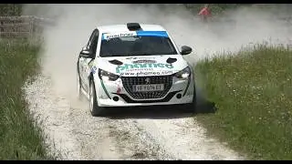 Judenburg Murtal Rallye 2025 | Best of Traußnig/Baumann | Peugeot 208 Rallye4 | Stengg Motorsport