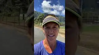 Dog whistle recall training tips