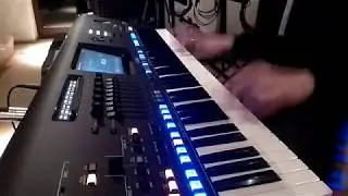 Yamaha Genos - Pirates of the Caribbean (He is a Pirate) cover