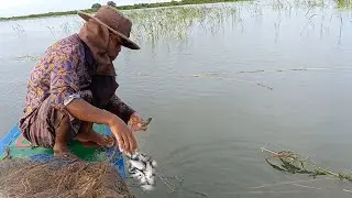 Real life Tonle Sap fisherman.ជីវិតពិតអ្នកនេសាទបឹងទន្លេសាប។