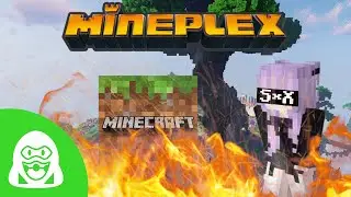 The Insane State of Mineplex Bedrock...