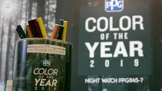 Experience Night Watch - Our 2019 Color of the Year