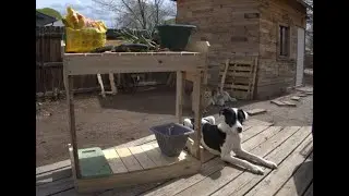 Potting Bench from Pallets