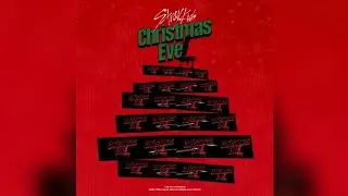 Stray Kids (스트레이 키즈) - 