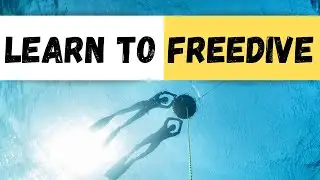 Обучение фридайвингу для новичков во Флориде с @LiveFreeDiving