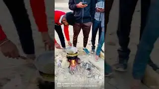 Chicken party in Koshi river #shorts #youtubeshorts #short