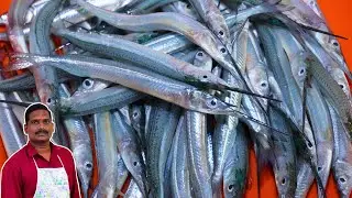 இந்த மீன் கிடைத்தால் விடாதீங்க ! ஊசி கோலா மீன் குழம்பு | Oosi kola fish curry | Meen kulambu