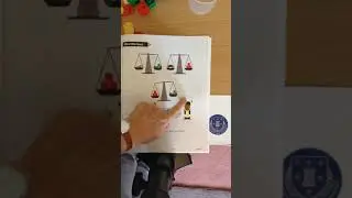 MNP Year 1 Ch 19 Mass - Review