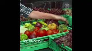 FAO + European Union. Investing in a sustainable and food secure future