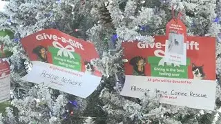 Area pet rescues ask for extra support this holiday season