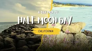 half moon bay | things to do in half moon bay | half moon bay California | lemos farm #kids #farm 