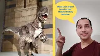 NATURAL HISTORY MUSEUM OF LONDON | Fay #ifaxec - (Walking Tour)