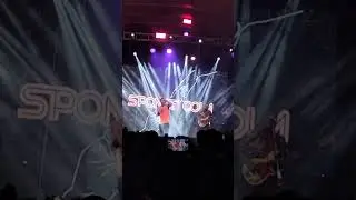 Spongecola Live TTKD2025- KAY TAGAL