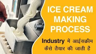 Ice Cream Making Process | Industry में आइसक्रीम कैसे तैयार की जाती है ?
