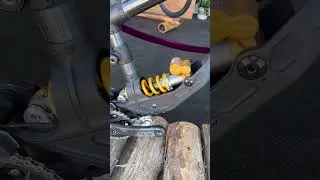 New Specialized demo 2024-2025 &ldquo; Closer look of the new bikes&rdquo; 😍🤤