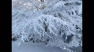 Eistage /Winter-Impressionen