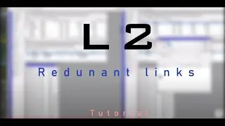 L2 Redundant Links