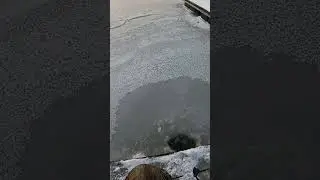 Ice fishing at Mosquito Lake boat docks #fishingwithobie #icefishing #fishing