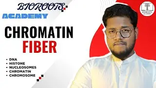 ICSE CLASS 10 |Chromatin Fiber | Cell Cycle & Cell Division | ICSE Class 10|  @BIOROOTSACADEMY ​