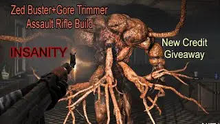 Ultimate Assault Rifle Build (Body) Zed Buster Dead frontier 2