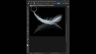 #adobesoftware #adobephoto #photoeditingsoftware #tutorial #illustartion #photoshoptutorial