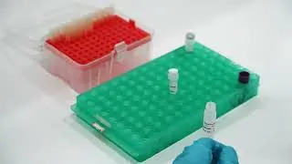 GE4 Throat Swab Sample Testing Step by Step Guide 20 mins
