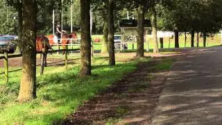 Ponykamp op Manege Laarbrug