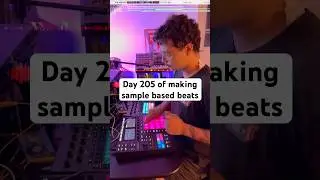 Day 205 - Vida #samplebased #boombap #guitarsamples #brazilianmusic