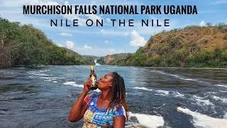 Uganda | Nile on the Nile - Murchison Falls National Park